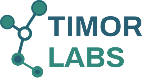 Timor Labs