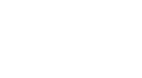 Timor Labs